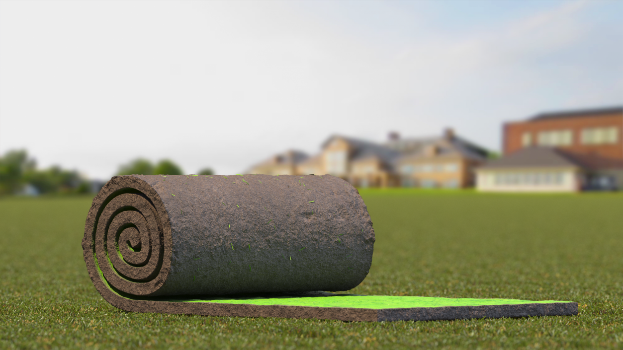 Lawn Turf Roll 3D model