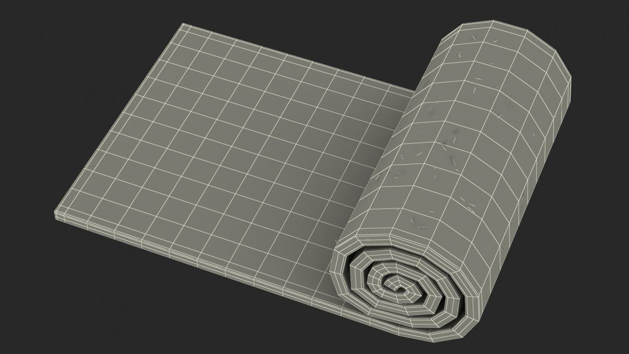 Lawn Turf Roll 3D model