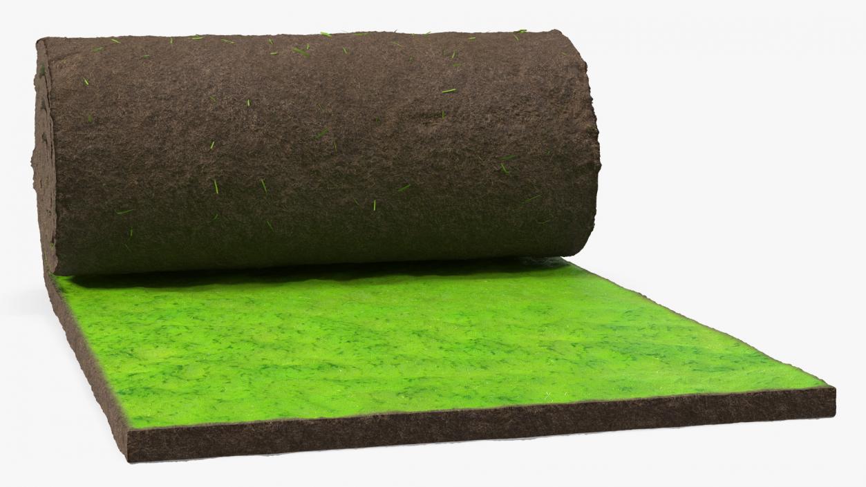 Lawn Turf Roll 3D model