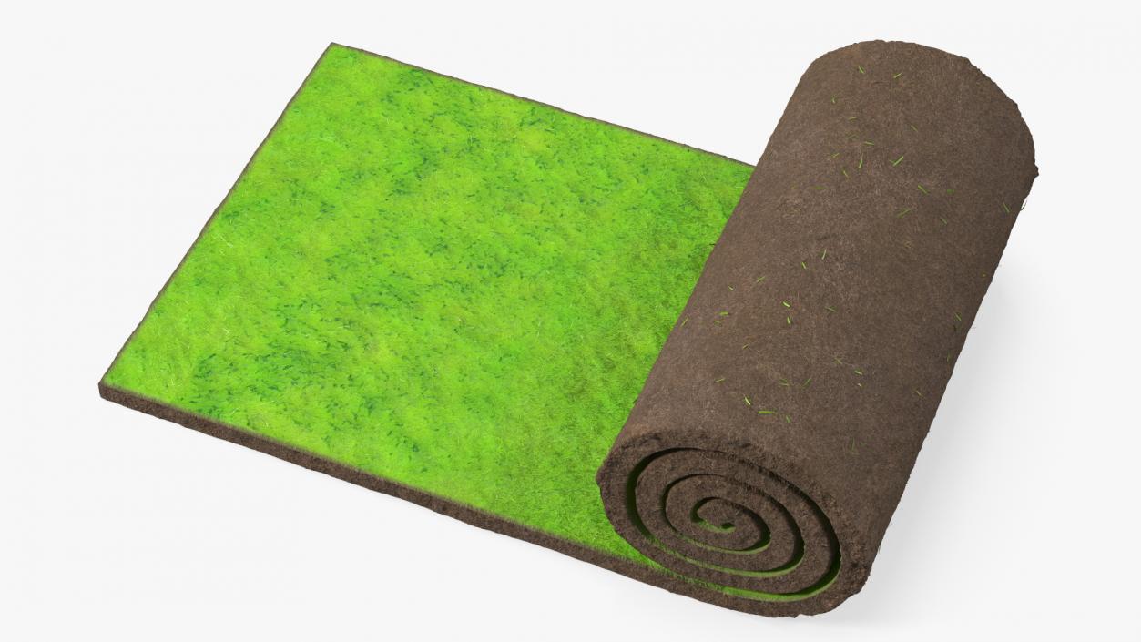 Lawn Turf Roll 3D model