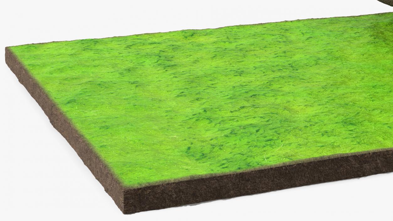 Lawn Turf Roll 3D model