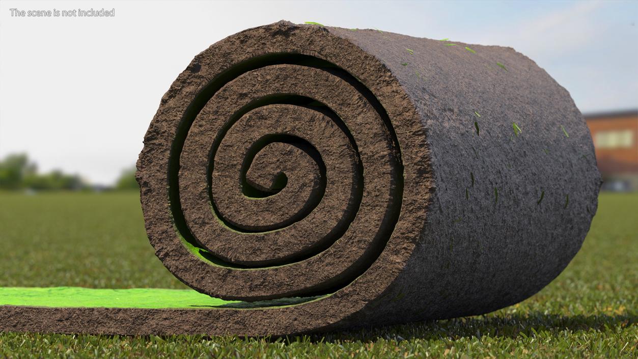 Lawn Turf Roll 3D model