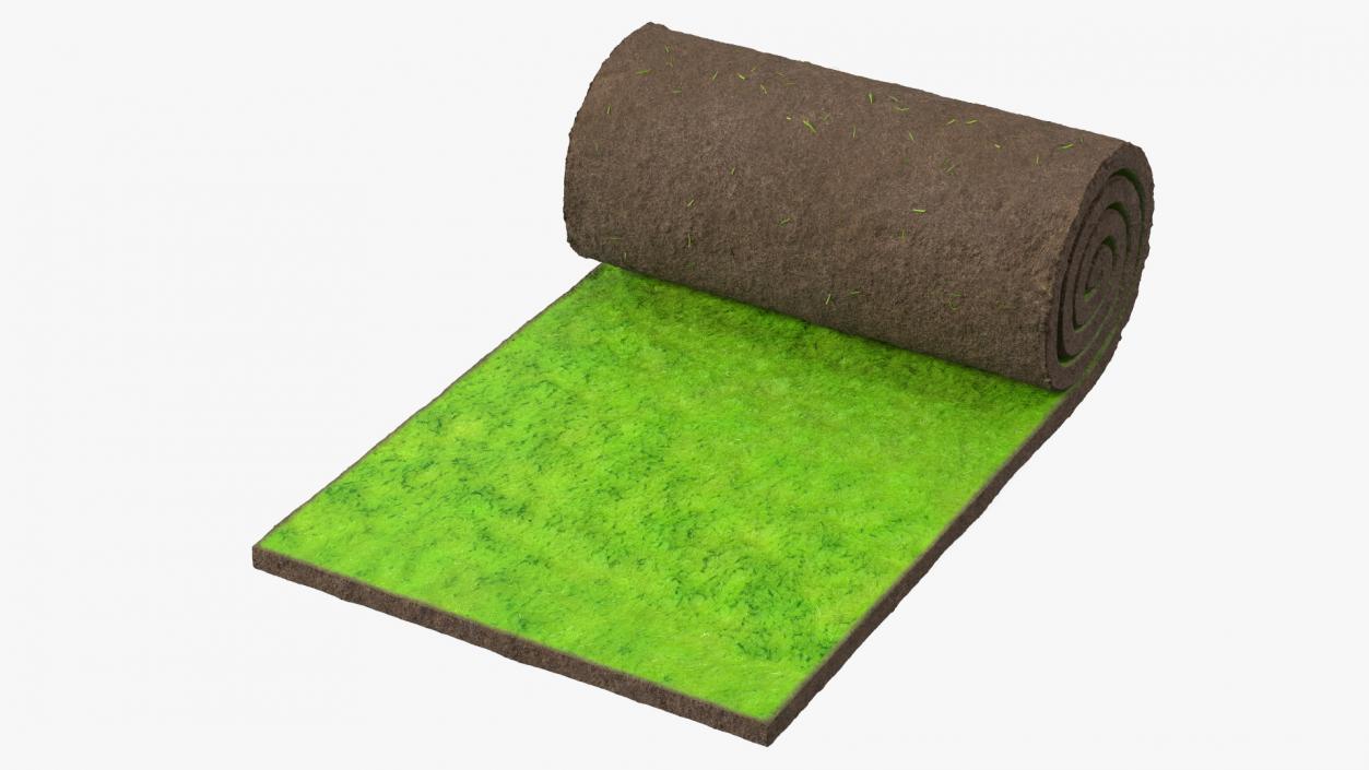 Lawn Turf Roll 3D model