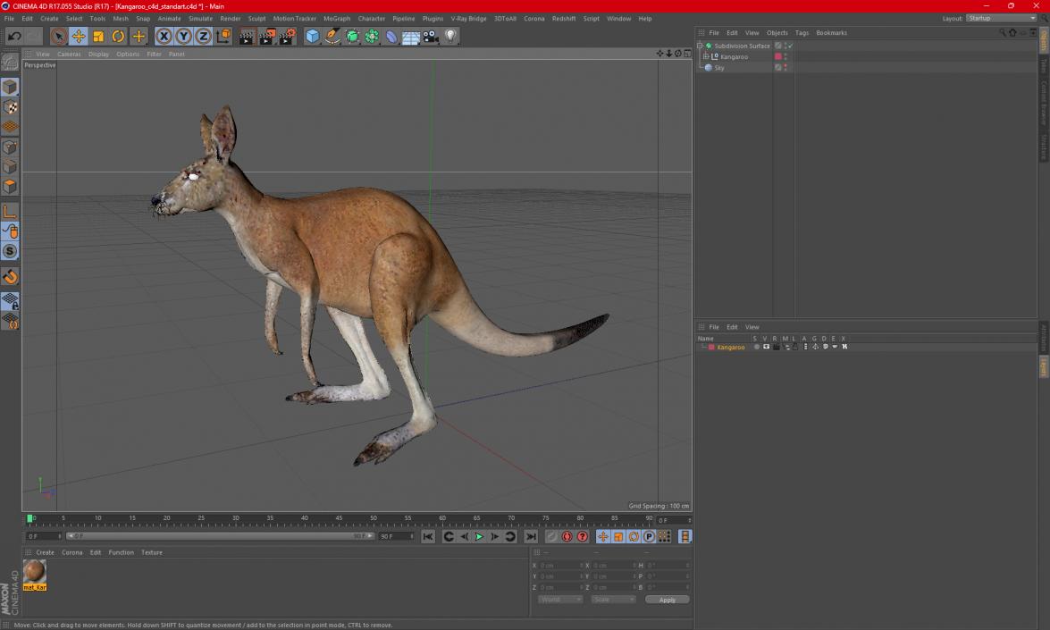 3D model Kangaroo