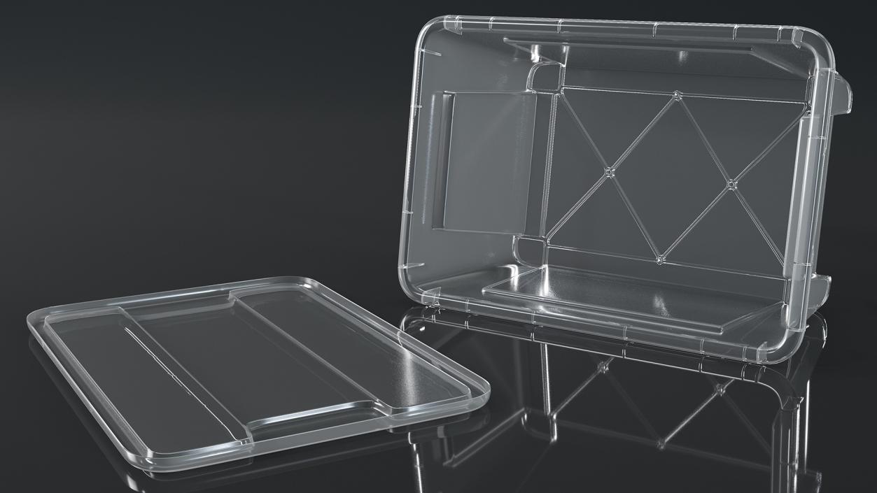 Transparent Plastic Containers with Lids Set 3D model