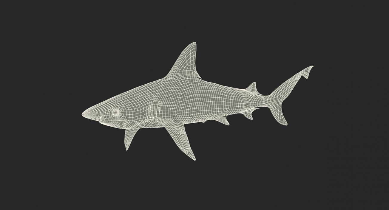 3D Rigged Sharks Collection 5