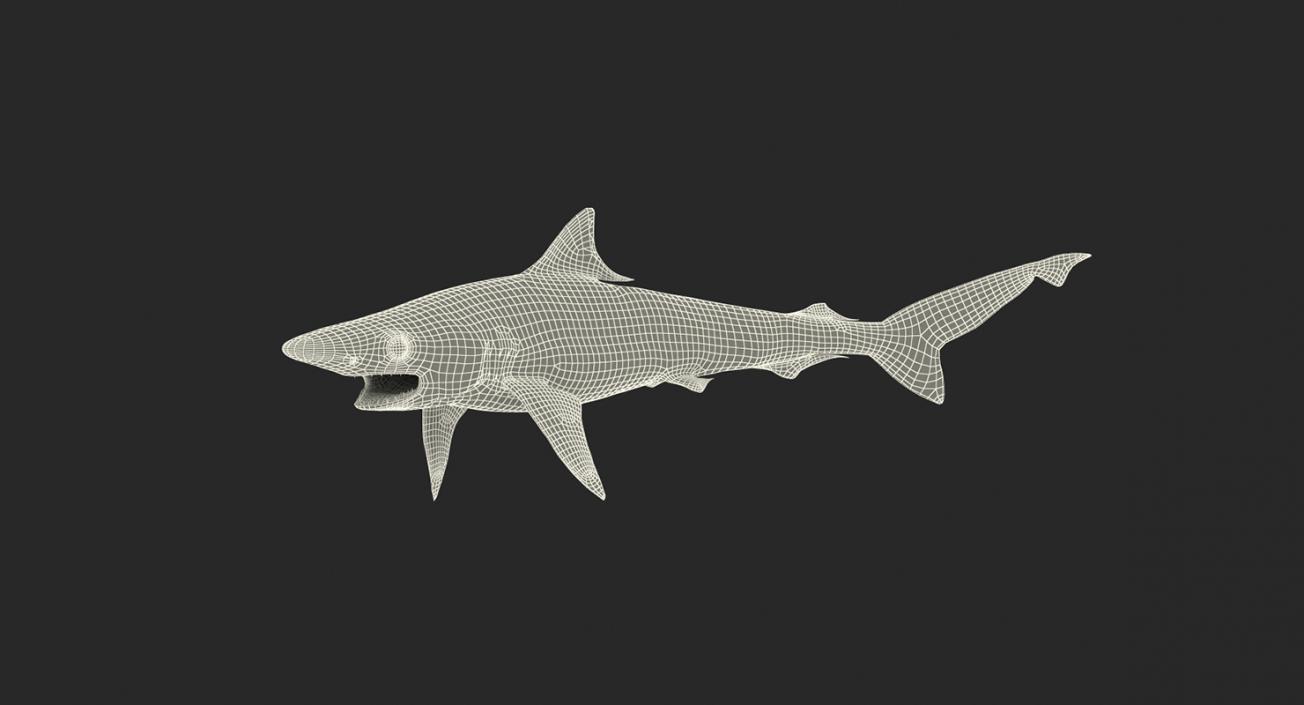 3D Rigged Sharks Collection 5