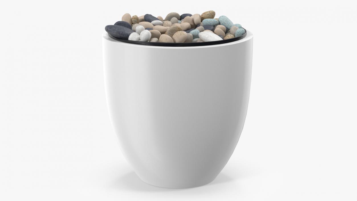 3D Tree Pot with Decorative Pebble