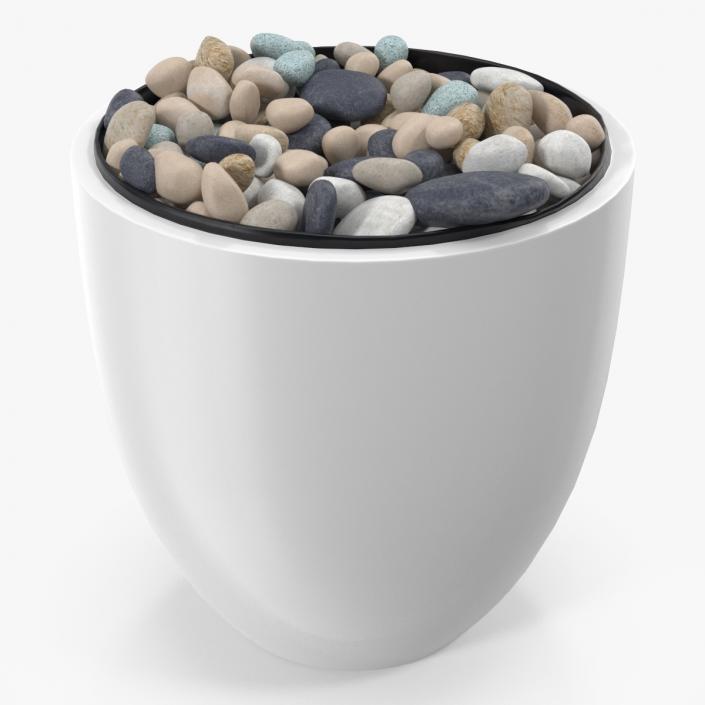 3D Tree Pot with Decorative Pebble