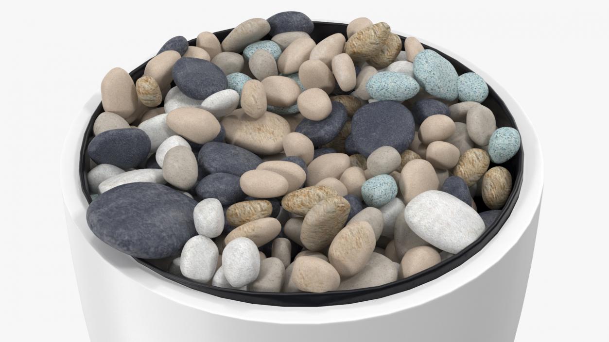 3D Tree Pot with Decorative Pebble