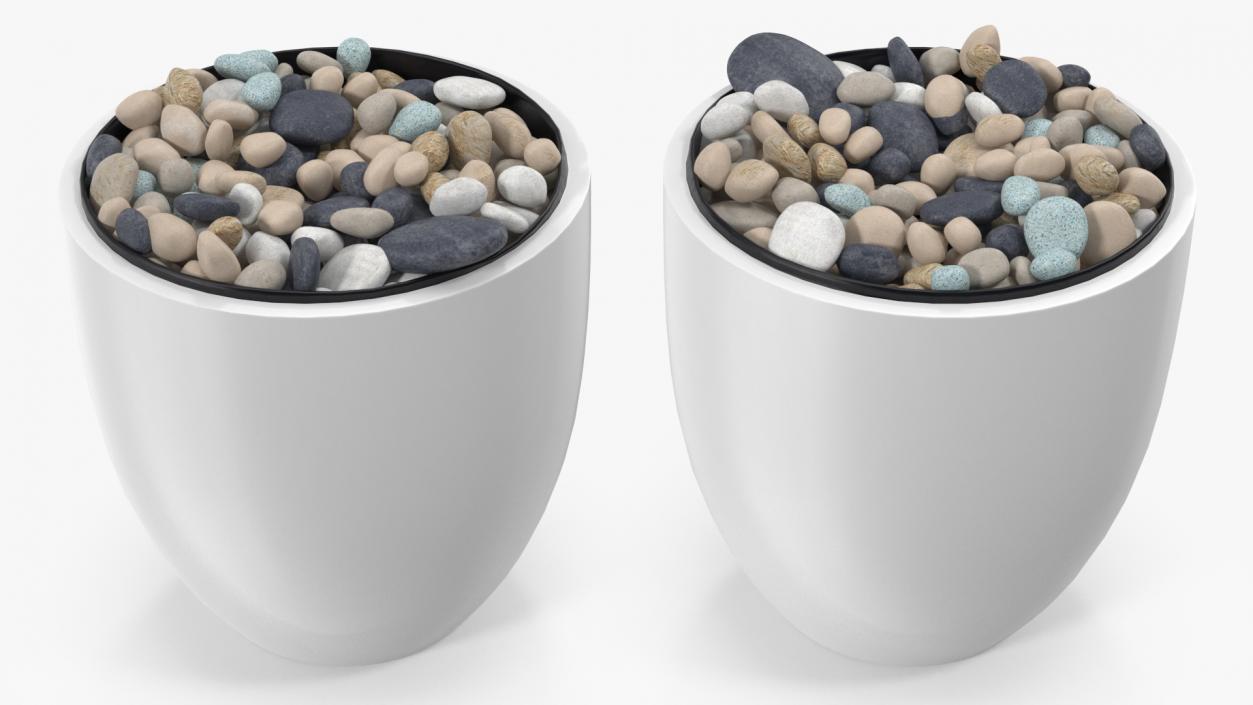 3D Tree Pot with Decorative Pebble