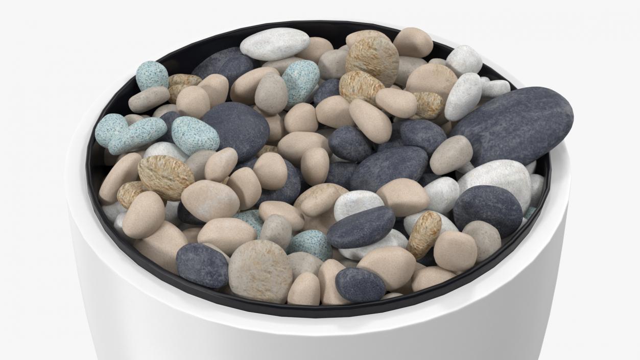 3D Tree Pot with Decorative Pebble