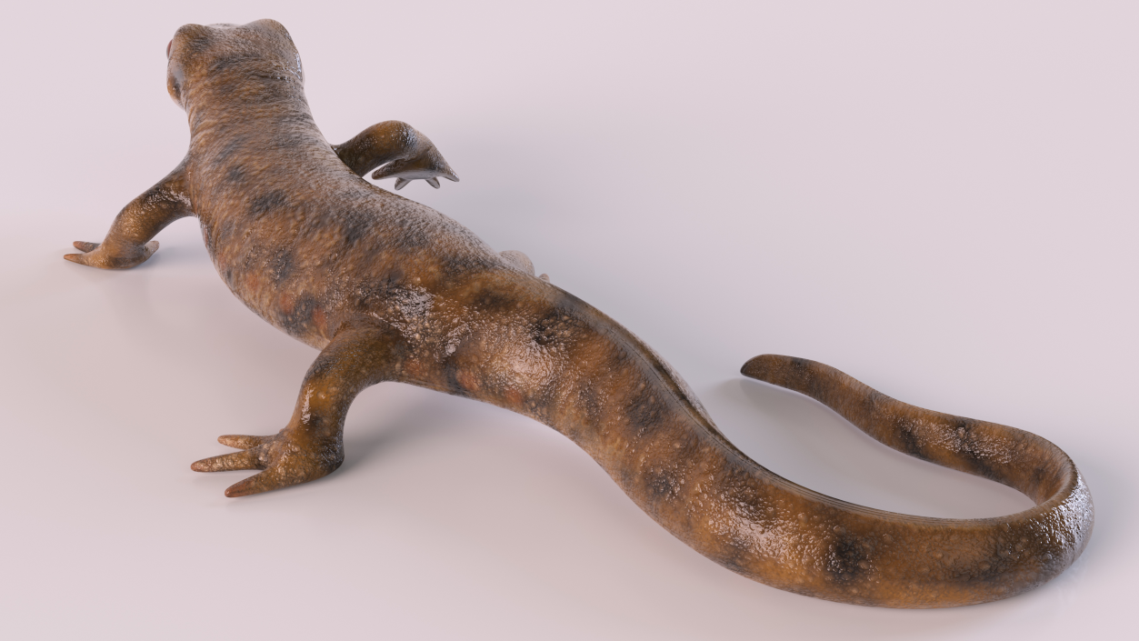 3D Spanish Ribbed Newt Crawling Pose model