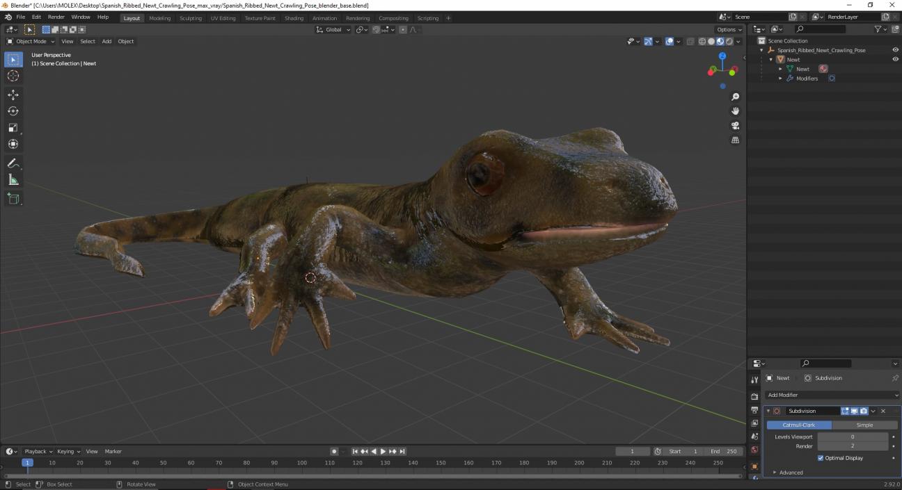 3D Spanish Ribbed Newt Crawling Pose model