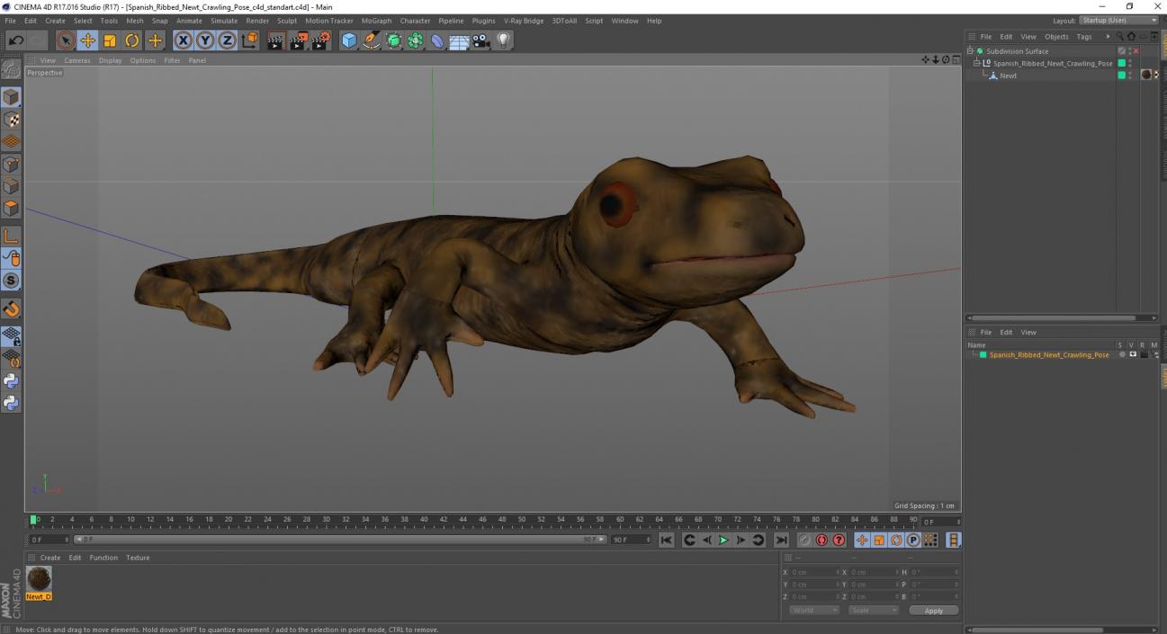 3D Spanish Ribbed Newt Crawling Pose model