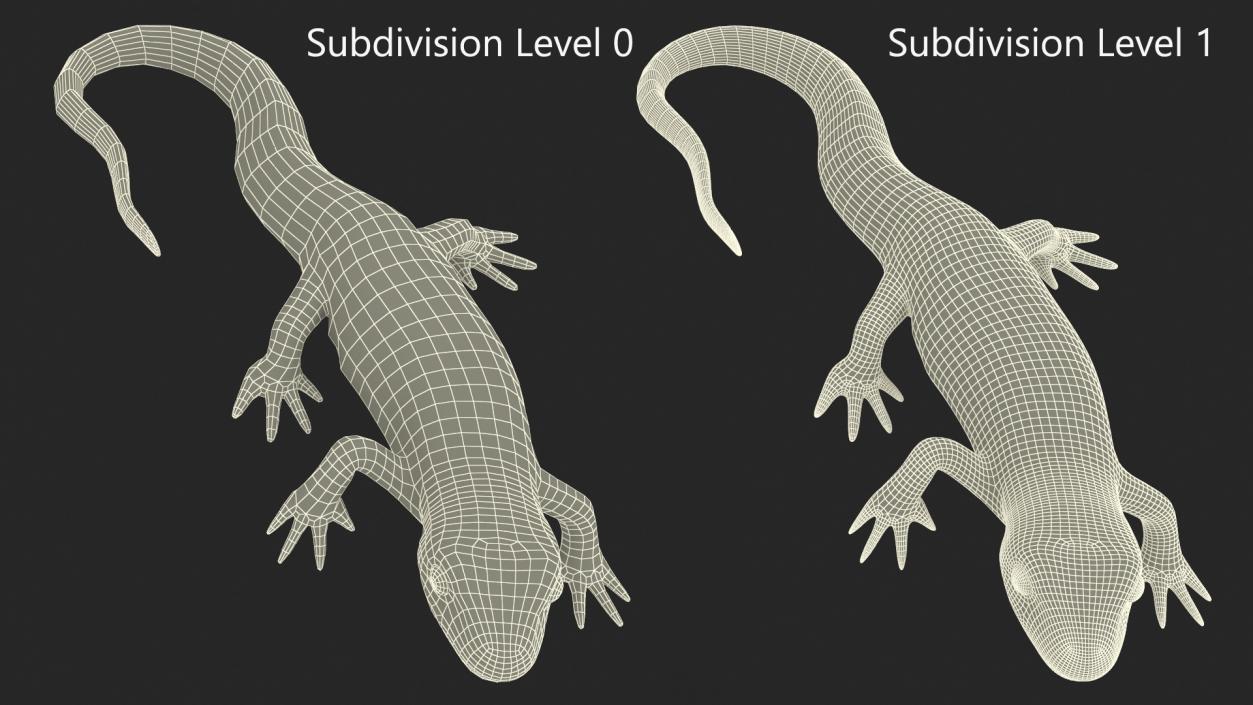 3D Spanish Ribbed Newt Crawling Pose model