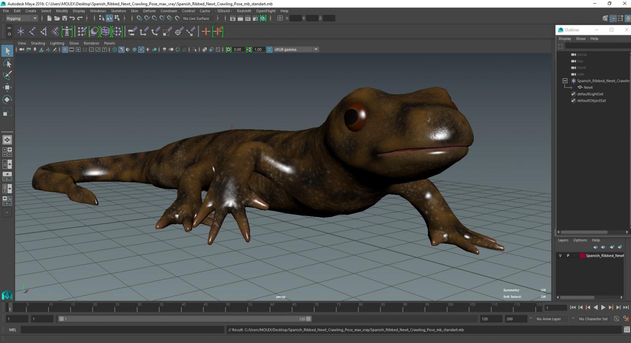 3D Spanish Ribbed Newt Crawling Pose model