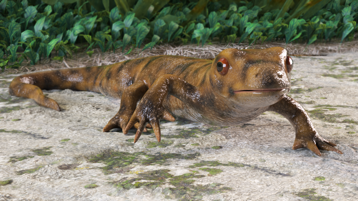 3D Spanish Ribbed Newt Crawling Pose model