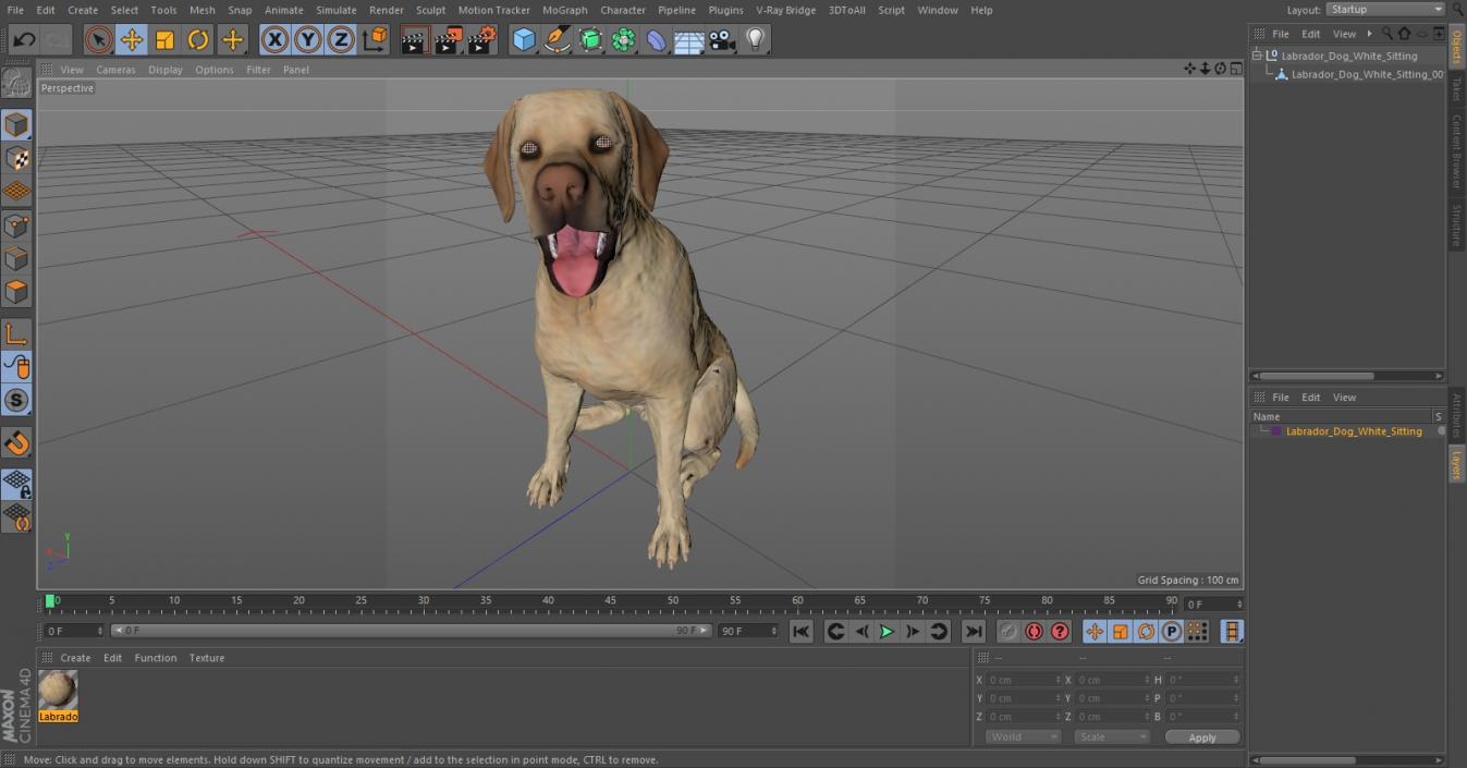 3D Labrador Dog White Sitting