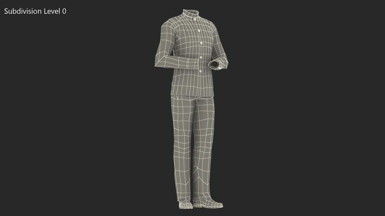 Tunic Business Suit 3D model