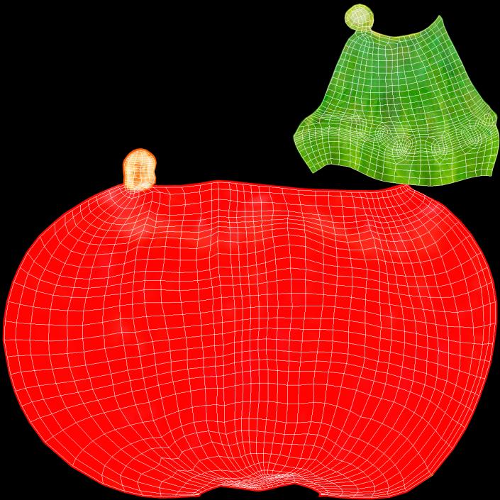 3D Fresh Red Bell Pepper