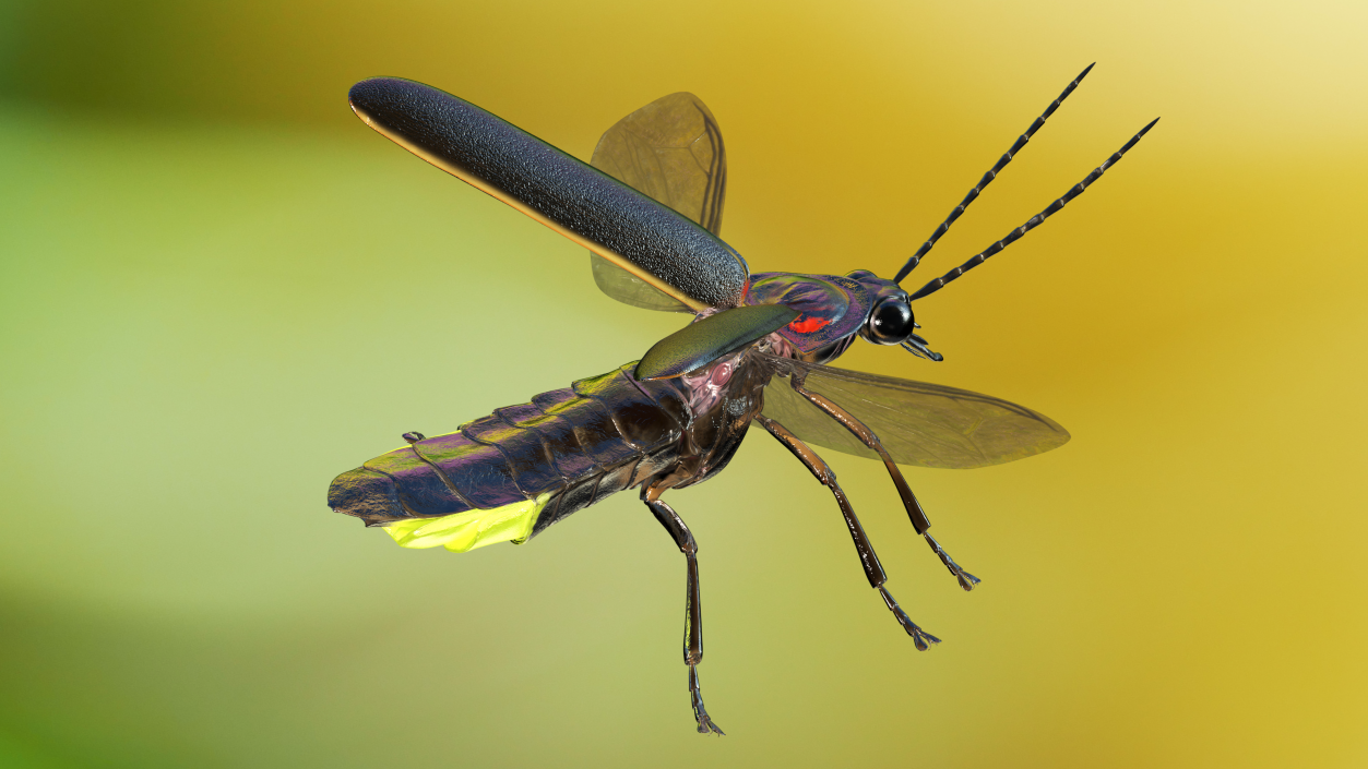 3D Big Dipper Firefly Glowing Rigged model