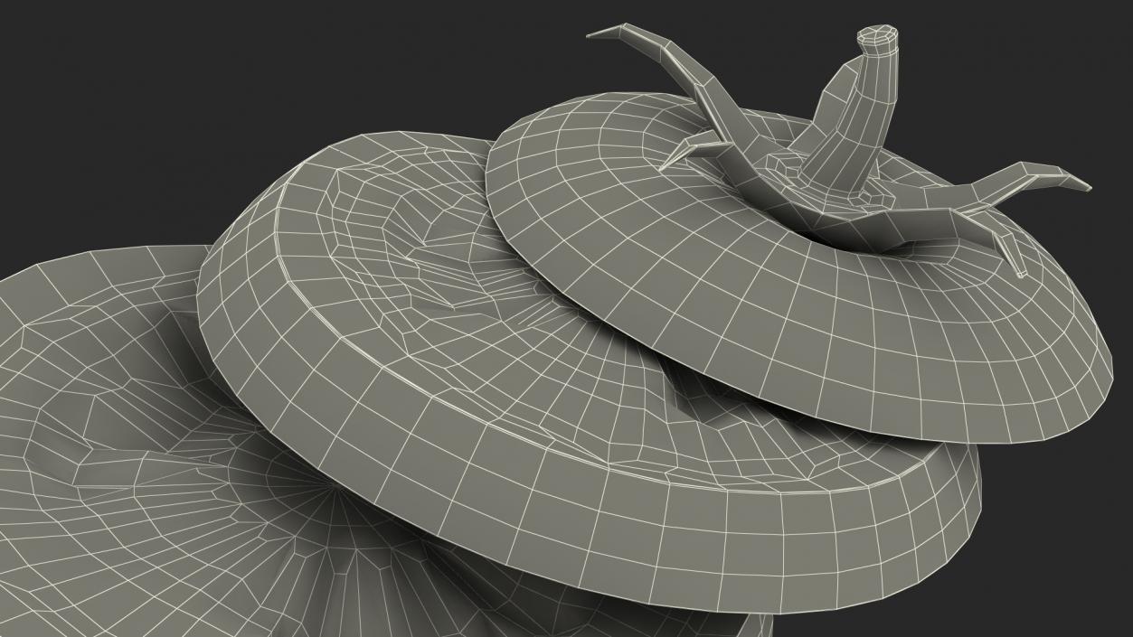 Sliced Tomato Lying 3D model