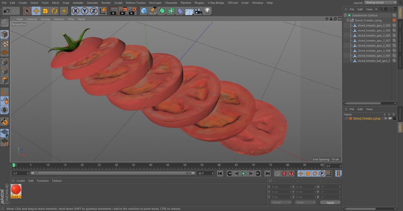 Sliced Tomato Lying 3D model