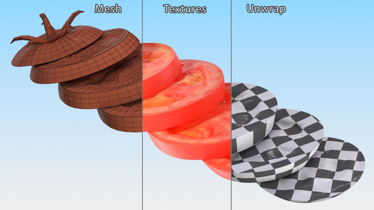 Sliced Tomato Lying 3D model