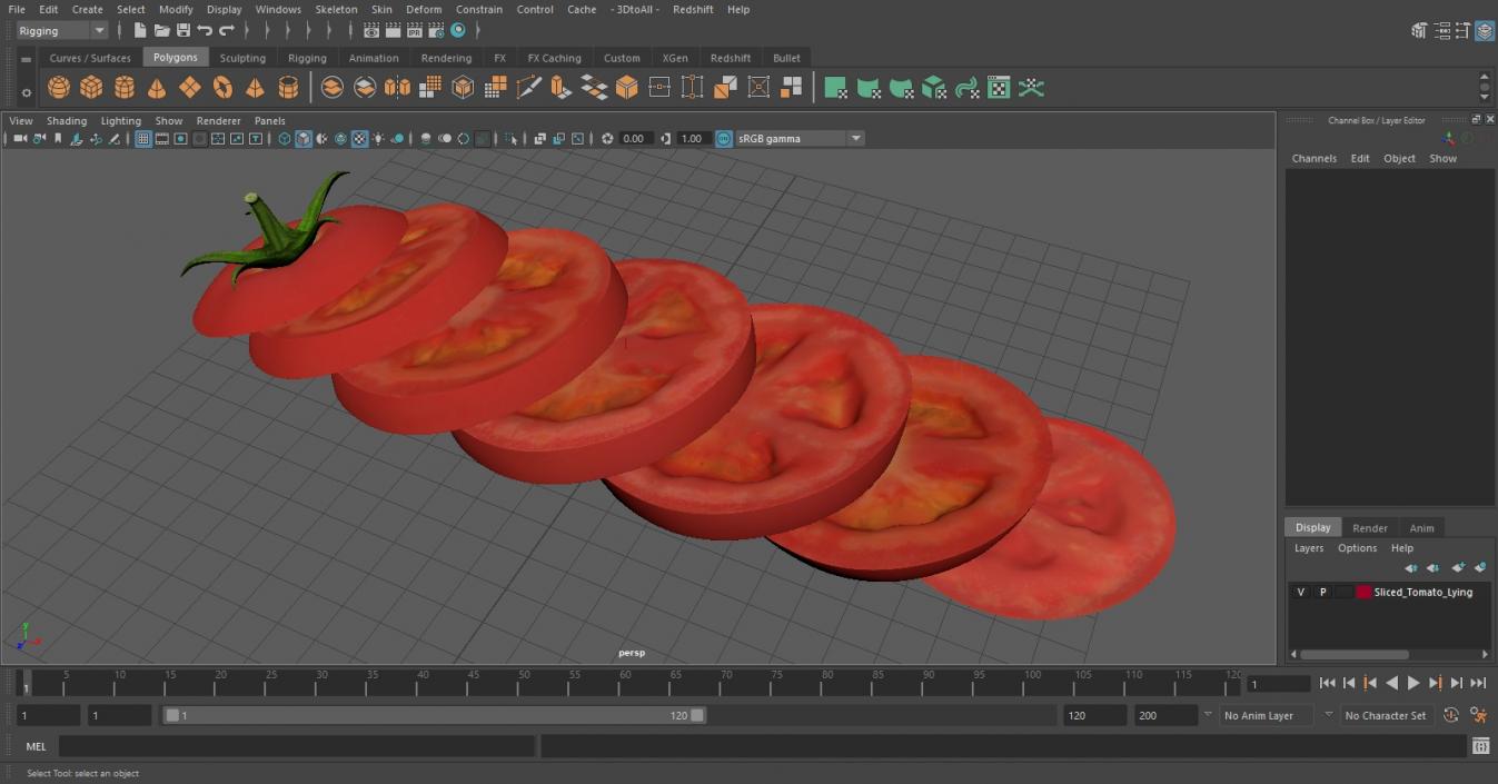 Sliced Tomato Lying 3D model