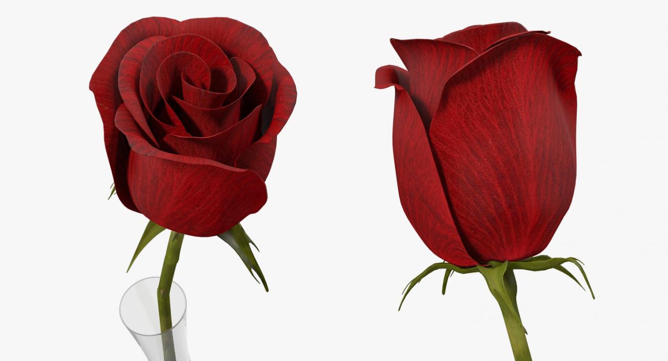 3D Red Rose in Vase