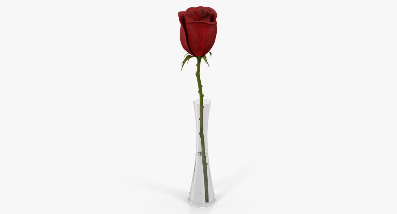 3D Red Rose in Vase