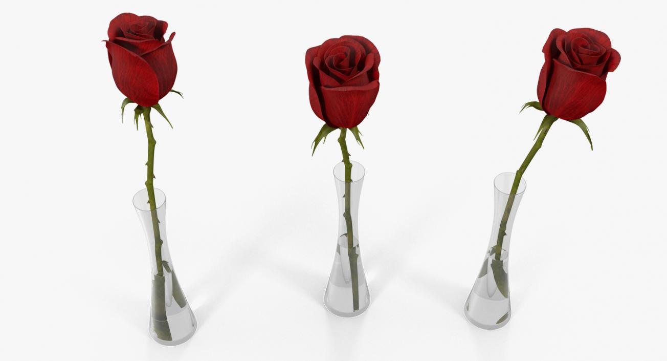 3D Red Rose in Vase