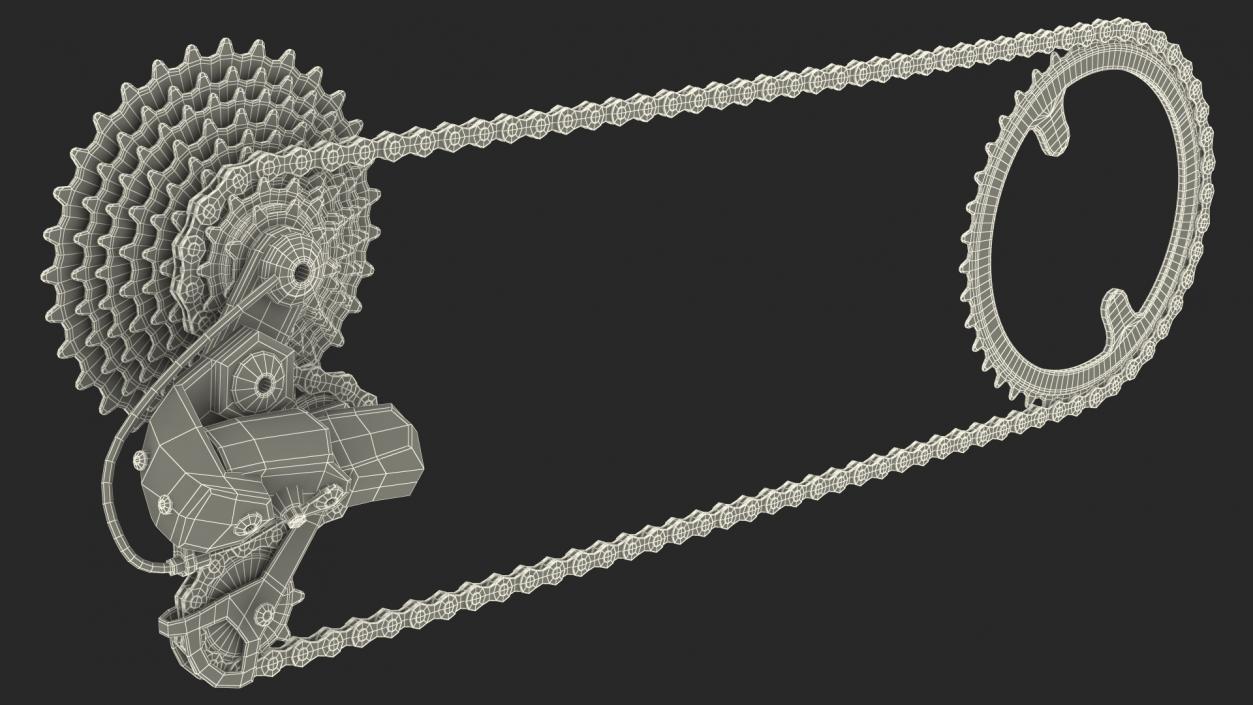 Bicycle Derailleur with Chain 3D model