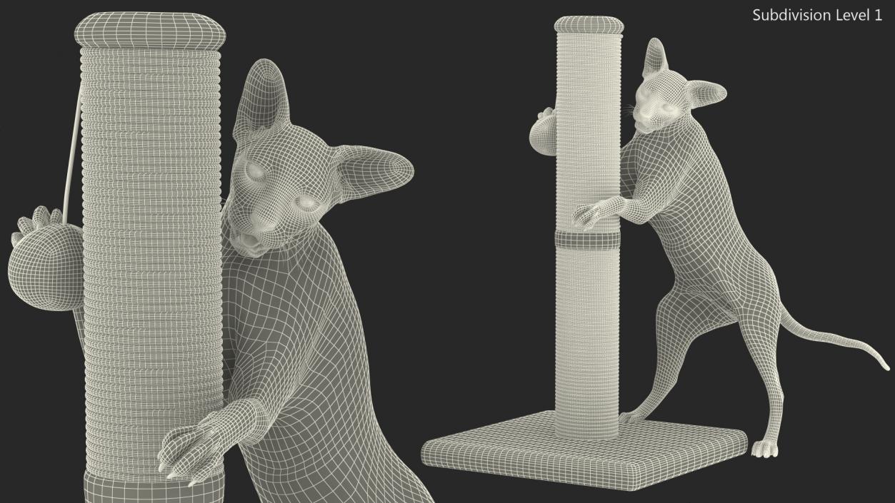 3D model Cat Playing With A Red Scratching Post Rigged