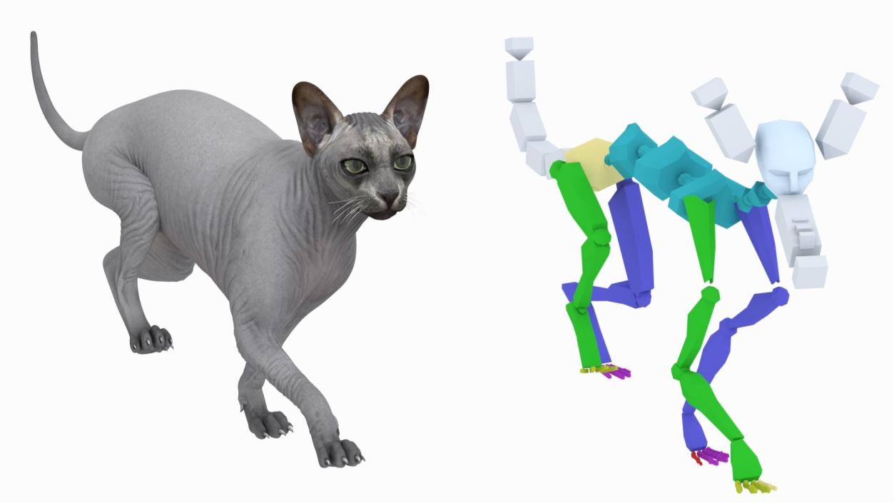 3D model Cat Playing With A Red Scratching Post Rigged