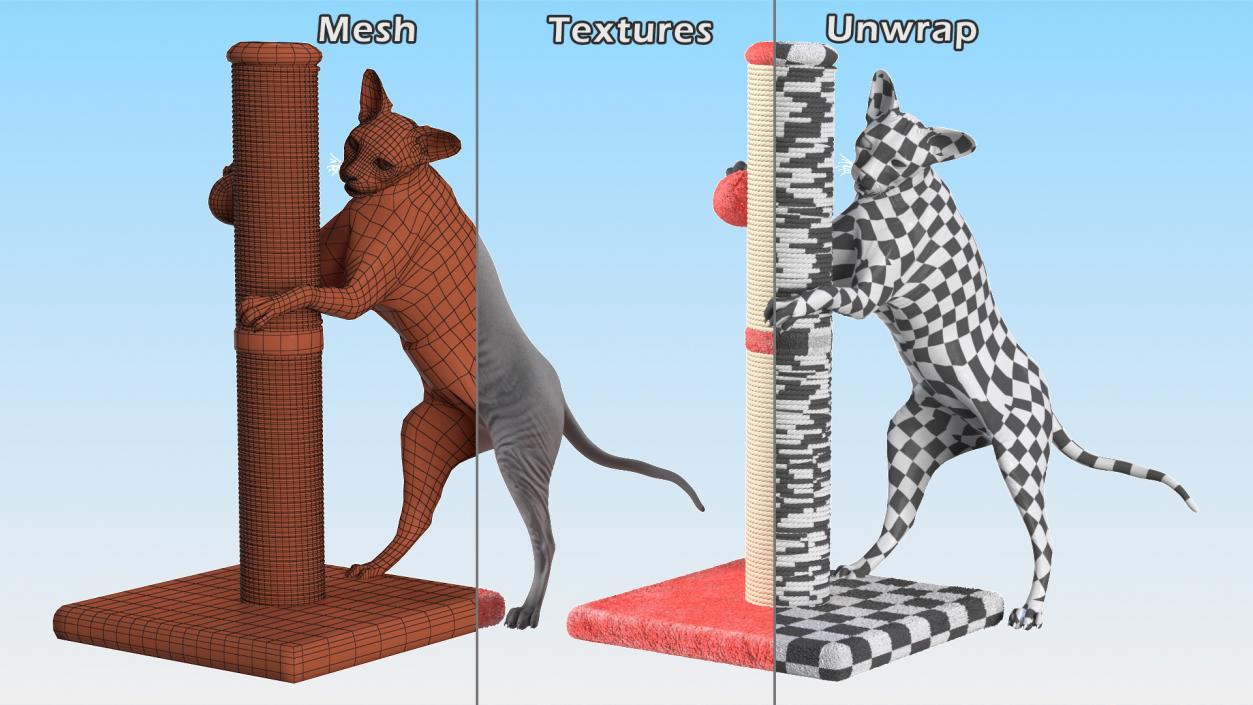 3D model Cat Playing With A Red Scratching Post Rigged