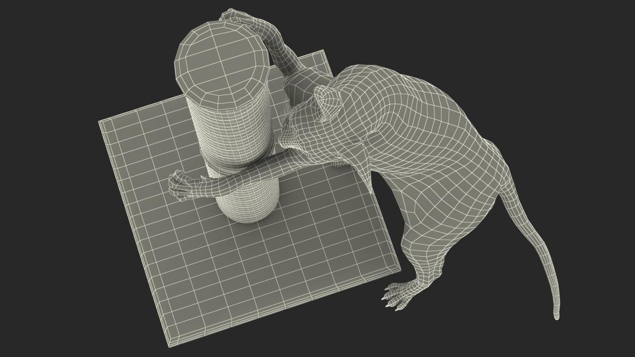 3D model Cat Playing With A Red Scratching Post Rigged