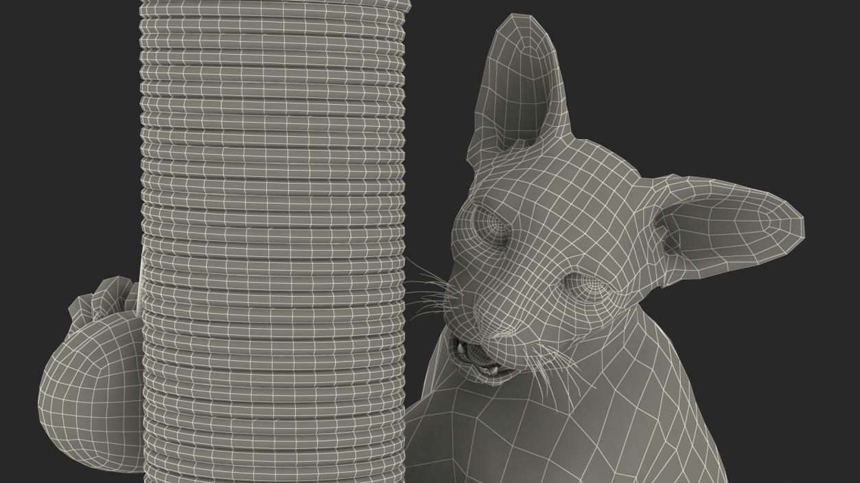 3D model Cat Playing With A Red Scratching Post Rigged