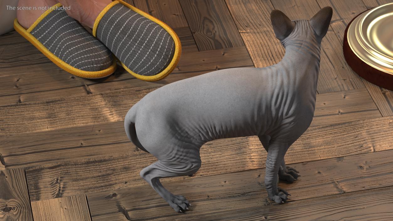 3D model Cat Playing With A Red Scratching Post Rigged