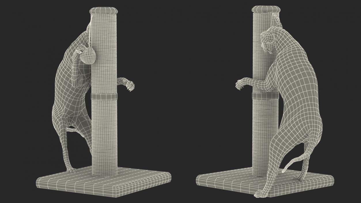 3D model Cat Playing With A Red Scratching Post Rigged