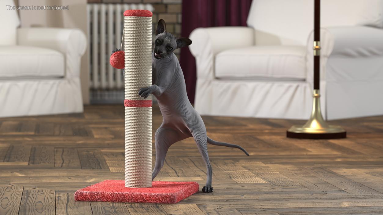 3D model Cat Playing With A Red Scratching Post Rigged