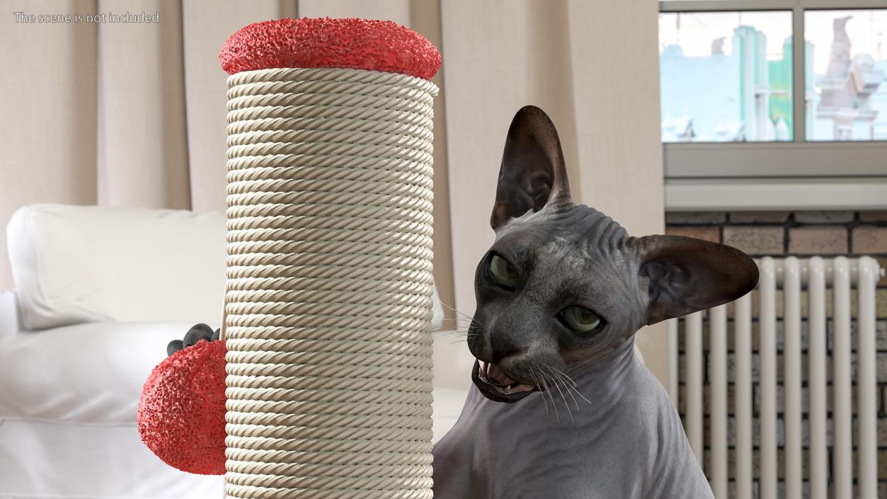 3D model Cat Playing With A Red Scratching Post Rigged