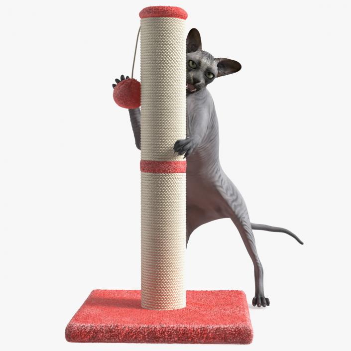 3D model Cat Playing With A Red Scratching Post Rigged