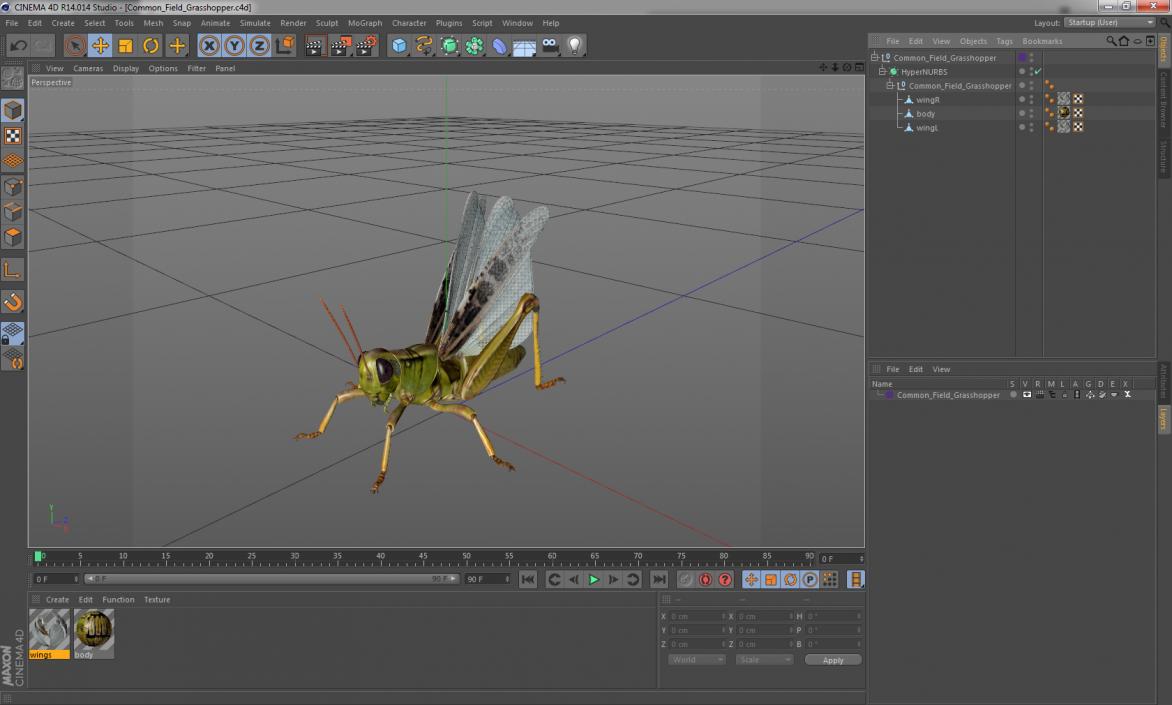 Common Field Grasshopper 3D model