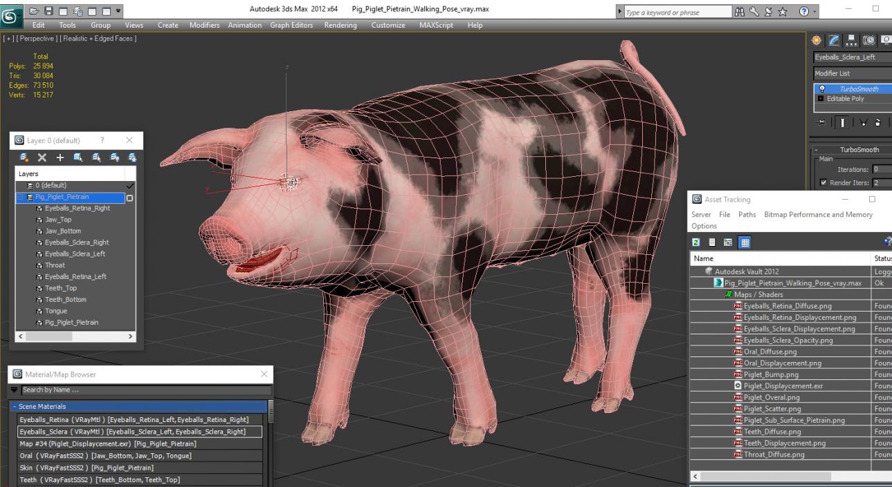 Pig Piglet Pietrain Walking Pose 3D