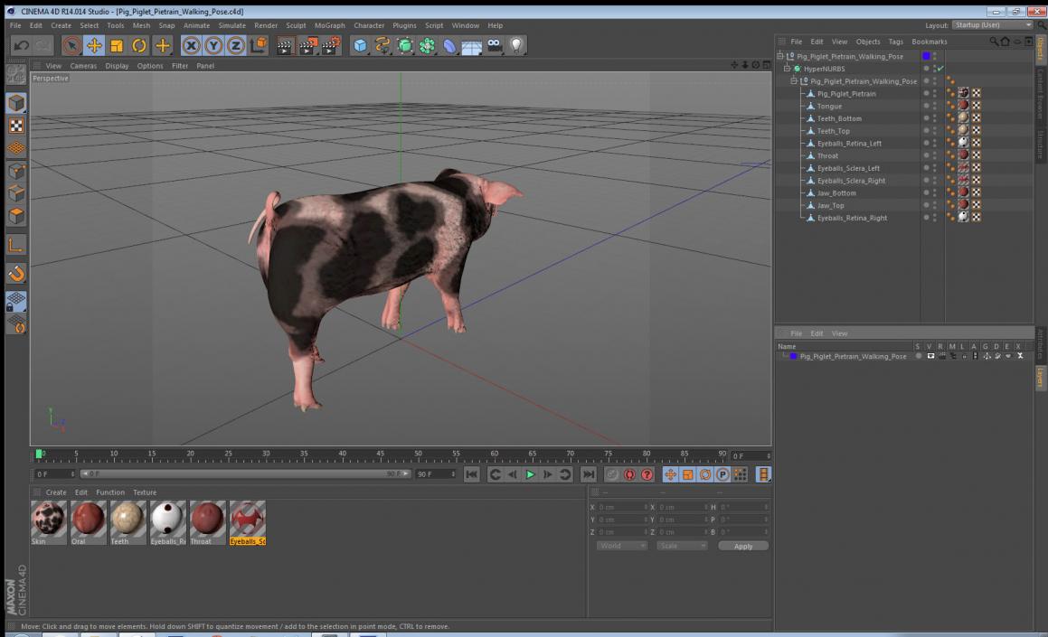 Pig Piglet Pietrain Walking Pose 3D