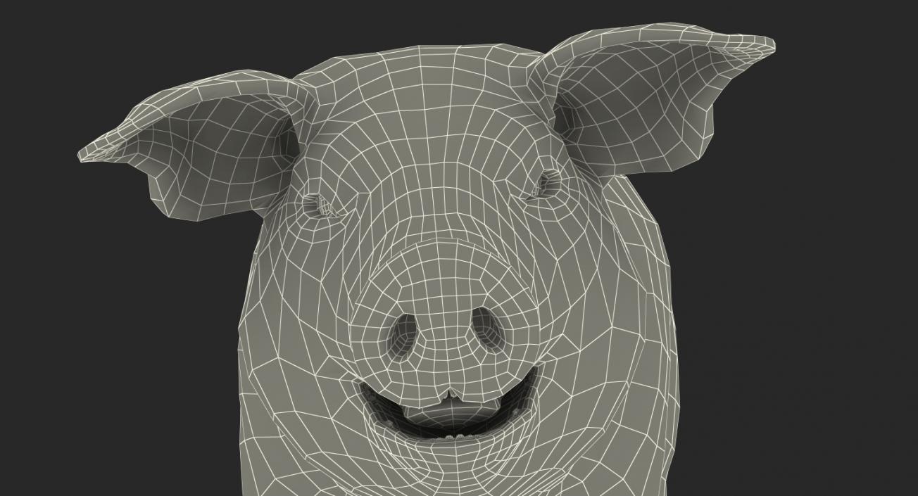 Pig Piglet Pietrain Walking Pose 3D