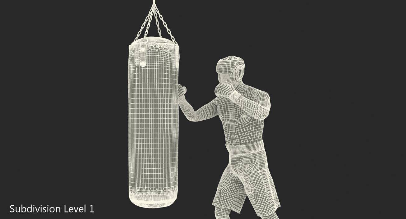 3D Boxer with Punching Bag model