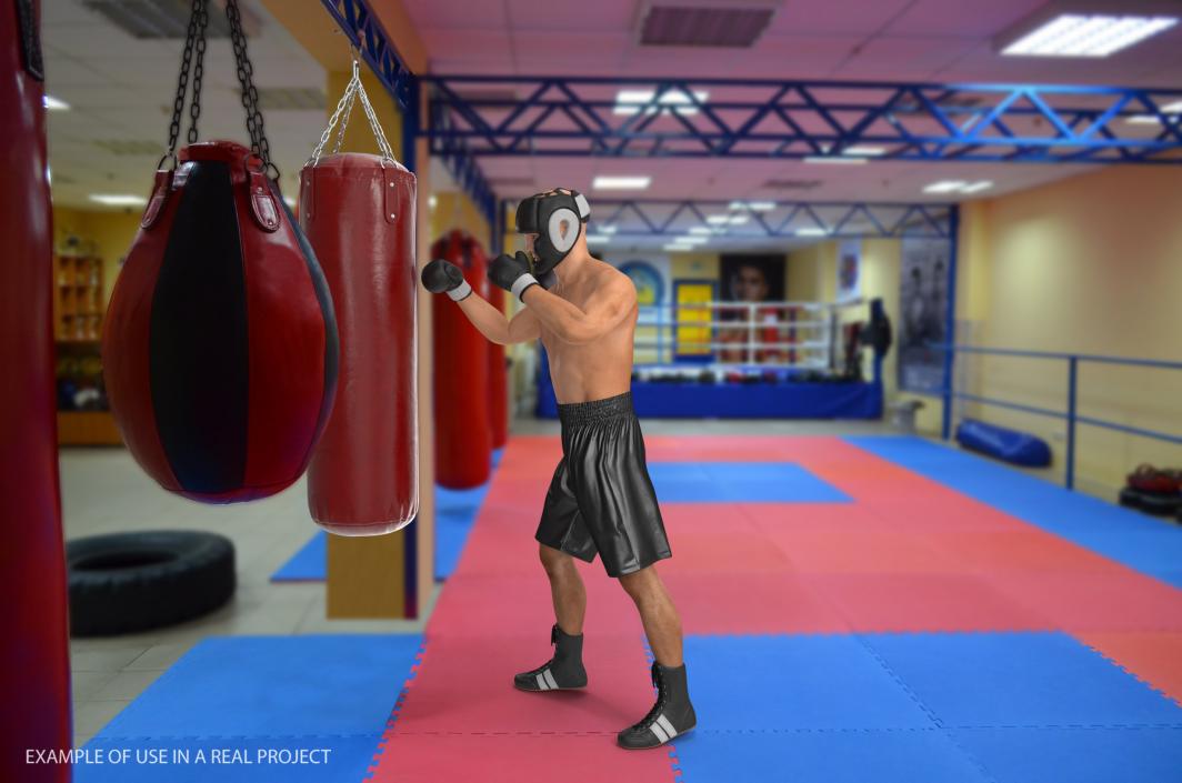 3D Boxer with Punching Bag model